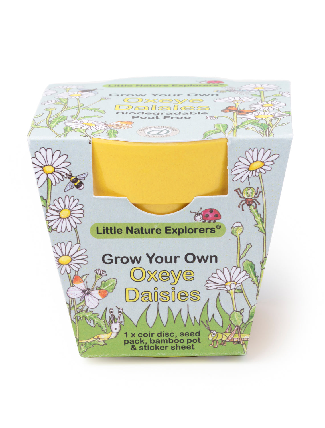 Children's Growing Kits Little Nature Explorers Starter Set (Mixed Case)