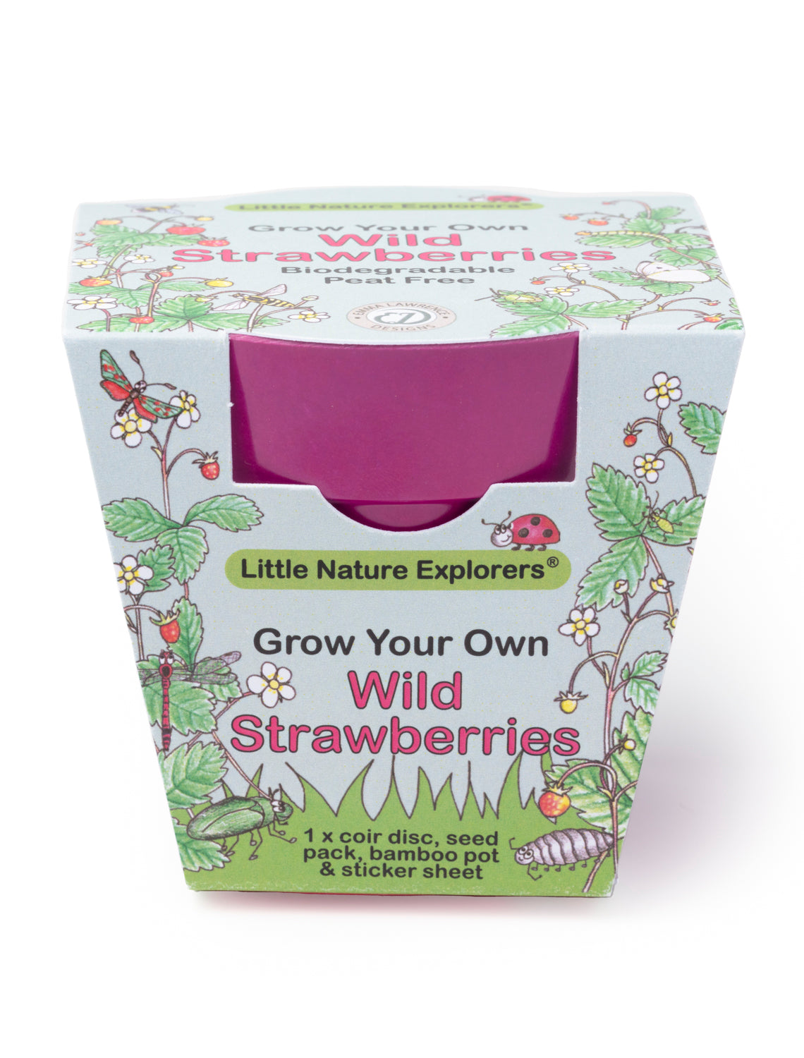 Children's Growing Kits Little Nature Explorers Starter Set (Mixed Case)