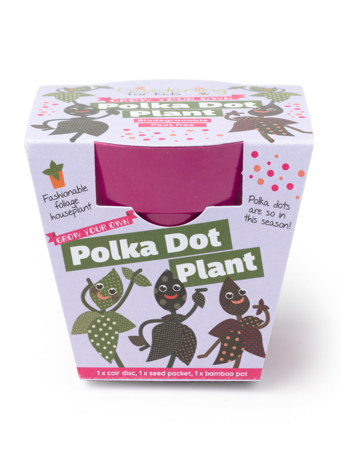 Grow Your Own Polka Dot Plant Growing Kit