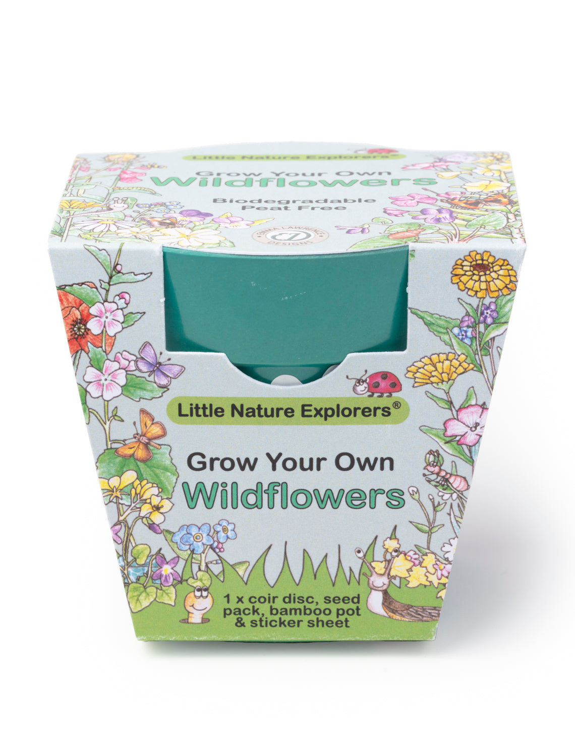Little Nature Explorers Children's Wildflower Growing Kit