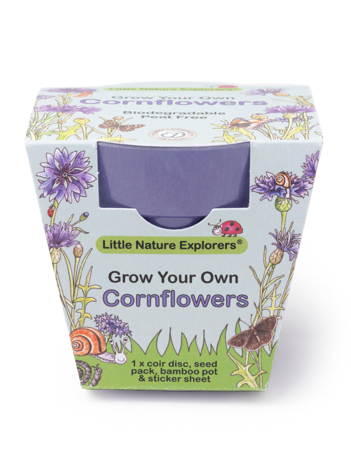 Little Nature Explorers Children's Cornflowers Growing Kit