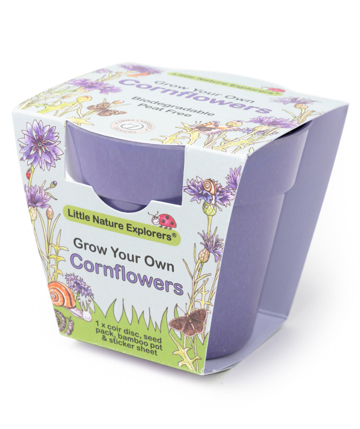 Little Nature Explorers Children's Cornflowers Growing Kit