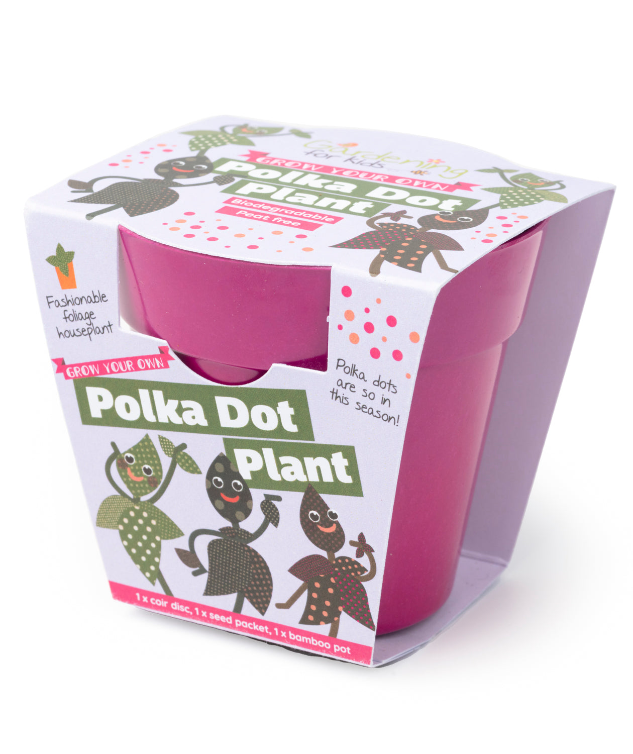 Grow Your Own Polka Dot Plant Growing Kit