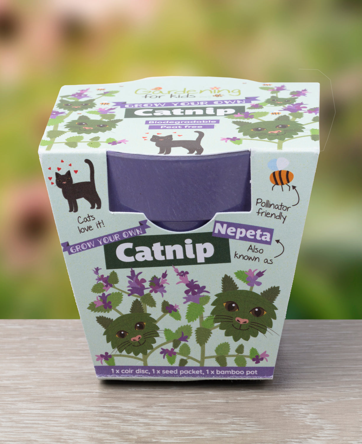 Grow Your Own Catnip Plant Complete Growing Kit