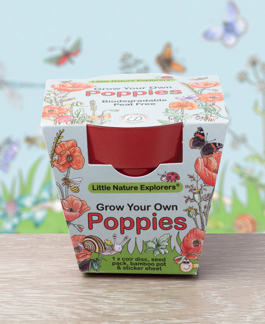 Children's Little Nature Explorers Grow Your Own Poppies Kit