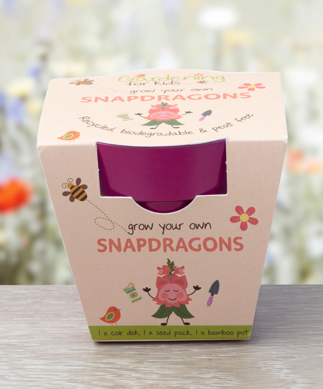 Children's Grow Your Own Snapdragons Growing Kit