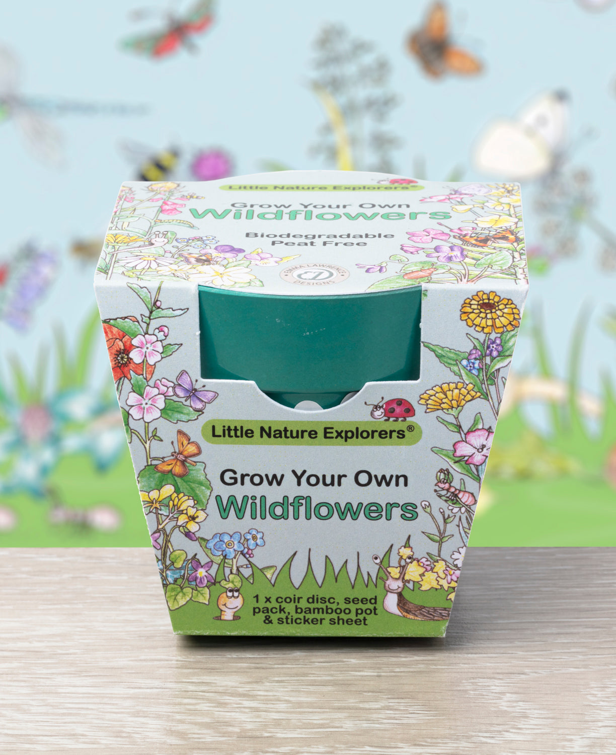 Little Nature Explorers Children's Wildflower Growing Kit