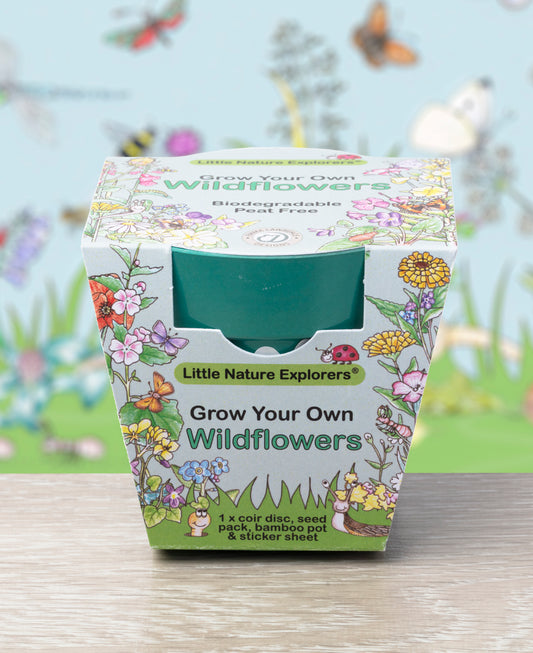 Little Nature Explorers Children's Wildflower Growing Kit