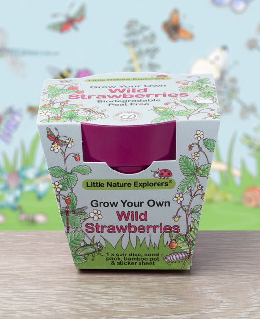 Little Nature Explorers Wild Strawberries Growing Kit