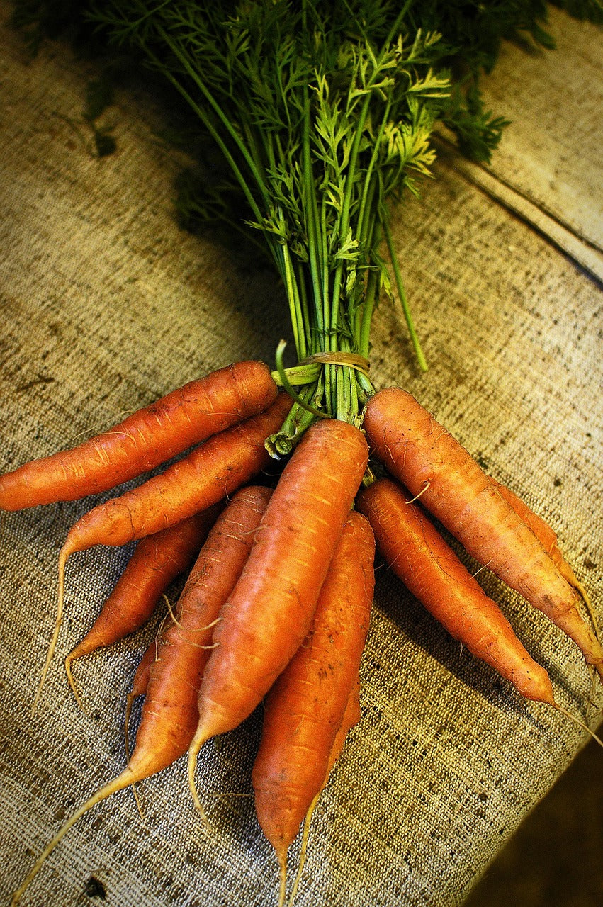 Grow Your Own Veg Garden Gift Box