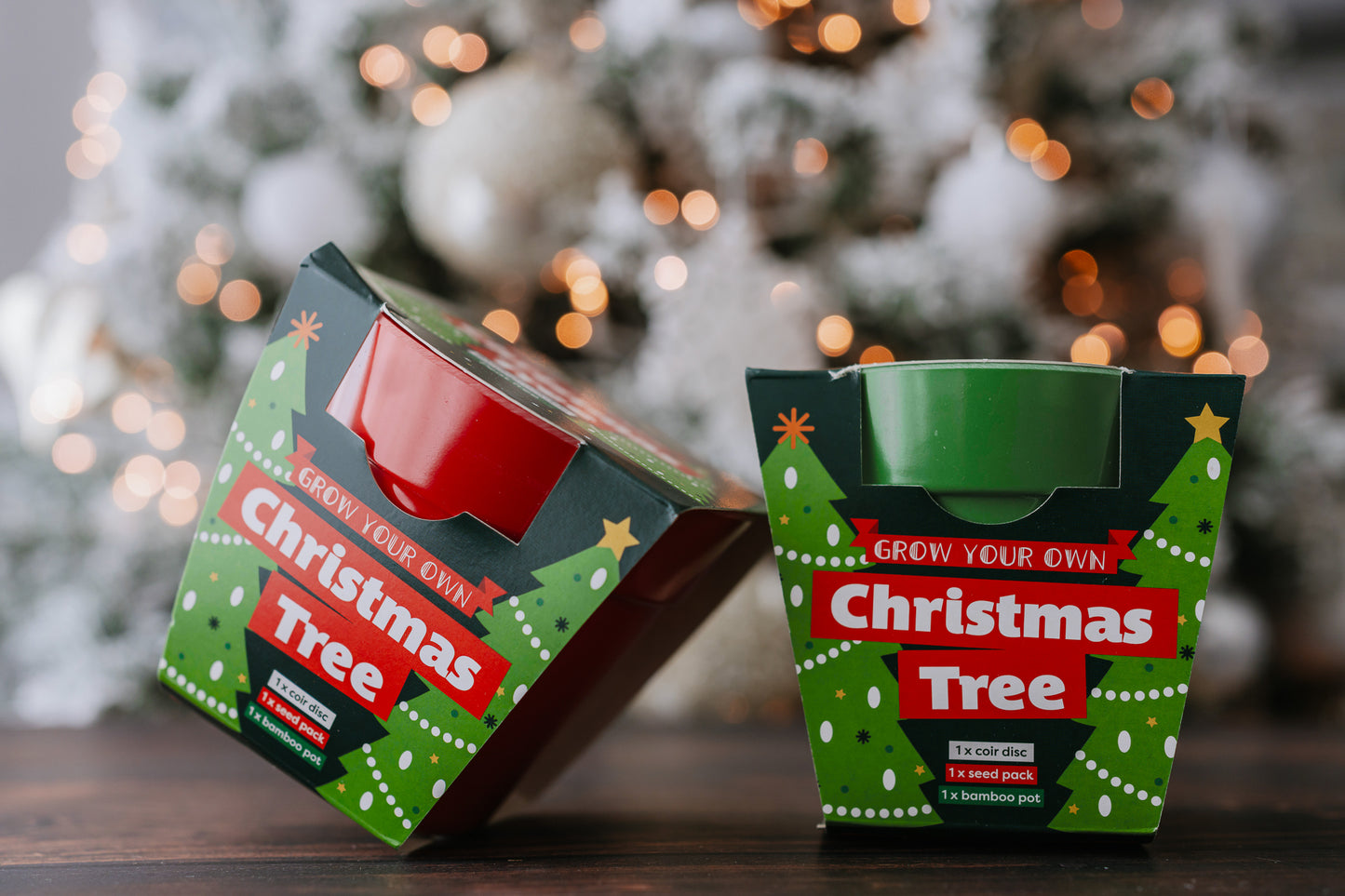 Children's Grow Your Own Christmas Tree Growing Kit
